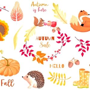 Cold weather essentials puffers hoodies and more